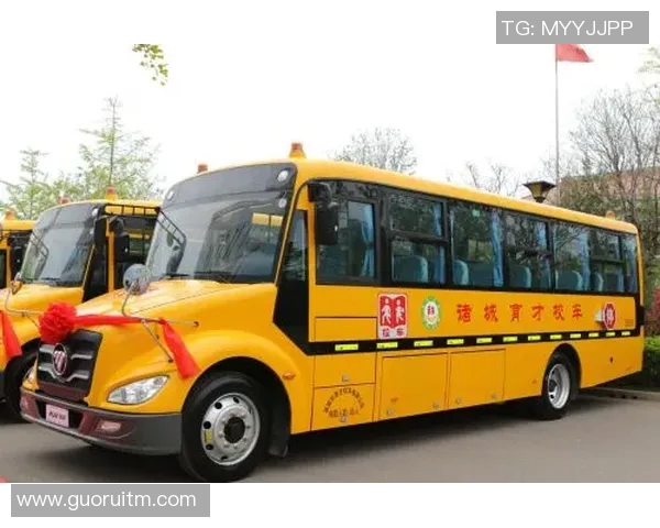 专访黄敏：深入探讨排球运动背后的成功秘诀与成长历程