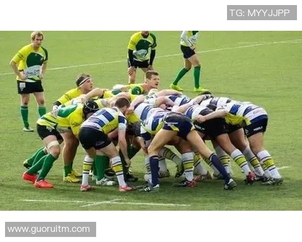 足球新手必看：全面提升力量的入门训练技巧与建议