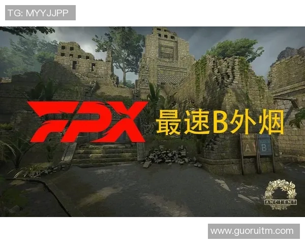 深入分析FPX战队在CSGO中的运营策略与战术布局