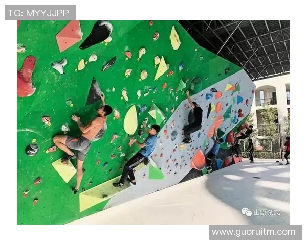 北京攀岩队耐力表现数据分析探讨与训练策略优化研究