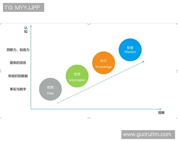 赛事管理创新模式探索与实践分析：提升赛事效率与参与体验的策略