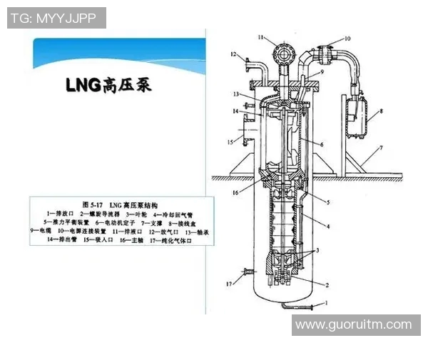 LNG战队近期状态分析与表现评估探讨